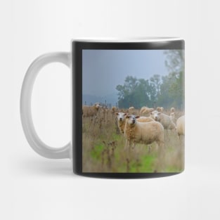 Sheeps Mug